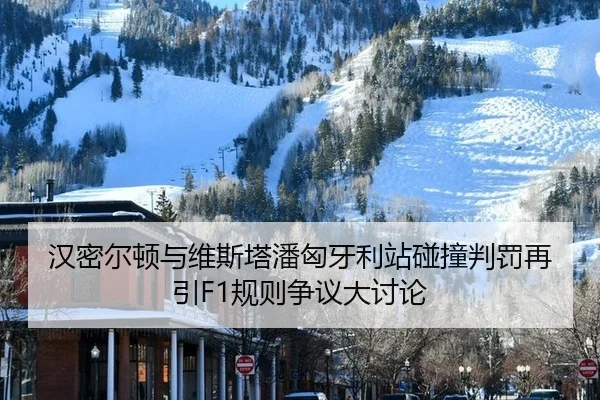 han-mi-er-dun-yu-wei-si-ta-pan-xiong-ya-li-zhan-peng-zhuang-pan-fa-zai-yin-gui-ze-zheng-yi-da-tao-lun-1-888.jpg